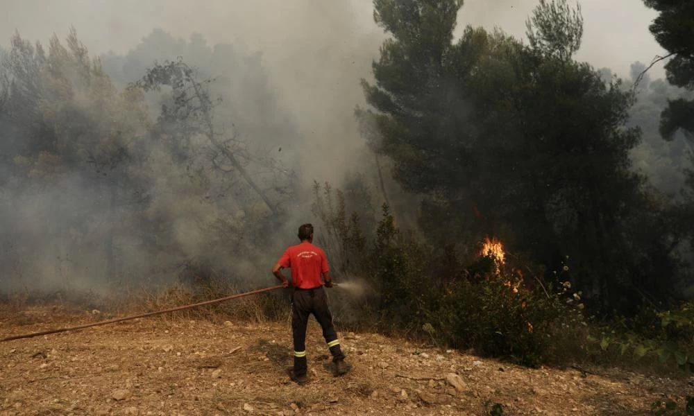 Πύργος: Υπό μερικό έλεγχο η φωτιά στους Αγίους Θεοδώρους Λεχαινών Ηλείας